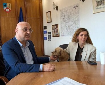 Decizii la Prefectura Prahova: Primăriile, obligate să aloce bugete pentru gestionarea câinilor comunitari și să demareze inventarierea animalelor din gospodării