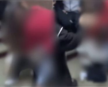 Bătaie între fete, la o școală din Colceag. O elevă de 15 ani a avut nevoie de îngrijiri medicale