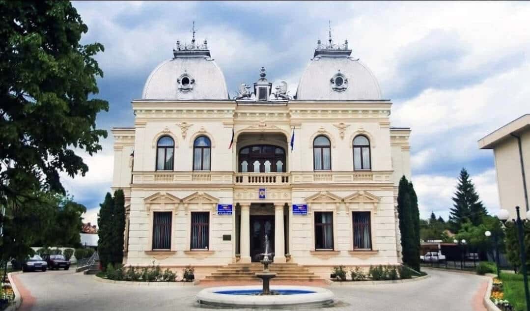 Câmpina: Anunț public privind proiectul de hotărâre referitor la câinii fără stăpân