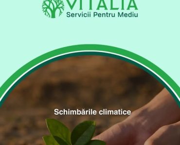 Vitalia Mediu: Schimbările climatice nu sunt doar un subiect la modă! Sunt REALE și se întâmplă ACUM!