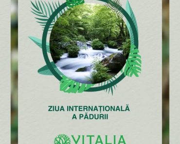 Vitalia Mediu: Pădurile sunt plămânii planetei, sursa noastră de oxigen, liniște și viață