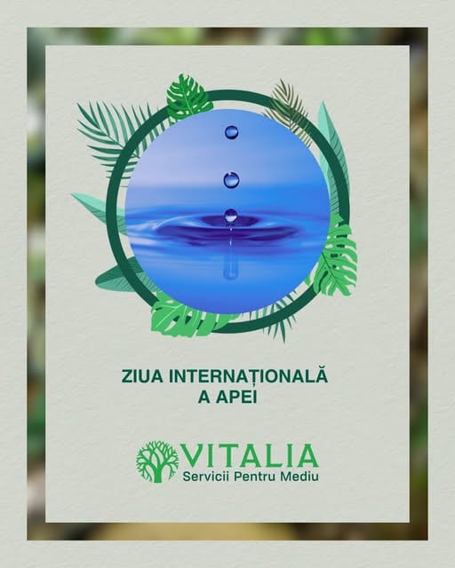 Vitalia Mediu: Astăzi celebrăm Ziua Internațională a Apei! Vitalia Mediu: Astăzi celebrăm Ziua Internațională a Apei!