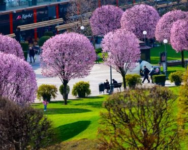 Motivul pentru care un bărbat din Cipru revine în fiecare an la Iași. „Prima dată am fost în ’98. S-a schimbat 100%”