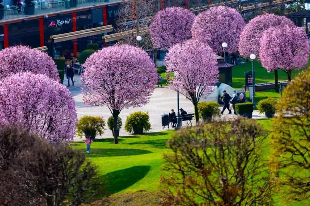 Motivul pentru care un bărbat din Cipru revine în fiecare an la Iași. „Prima dată am fost în ’98. S-a schimbat 100%”