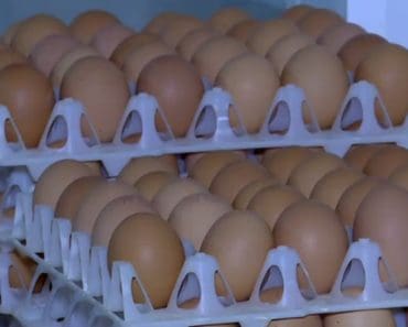 Alertă sanitară în prag de sărbători: 1,5 milioane de ouă, care ar fi contaminate cu Salmonella, retrase de la vânzare