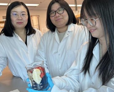 O soluție ingenioasă elimină chiar și 94% din pesticidele rămase pe coaja fructelor. Vor rămâne proaspete mult mai mult timp