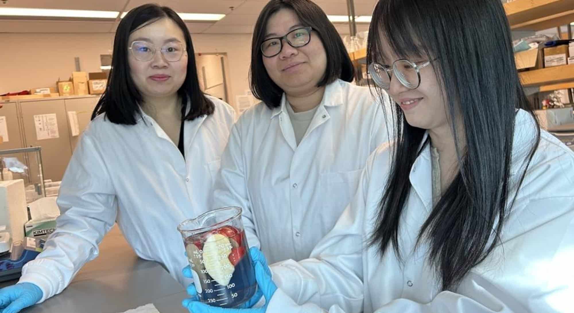 O soluție ingenioasă elimină chiar și 94% din pesticidele rămase pe coaja fructelor. Vor rămâne proaspete mult mai mult timp