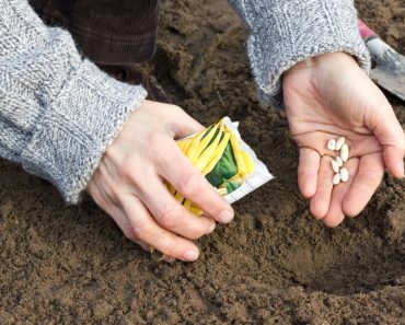 Singura țară din lume care își poate acoperi integral hrana din resurse proprii. Cum stă România într-un astfel de clasament mondial