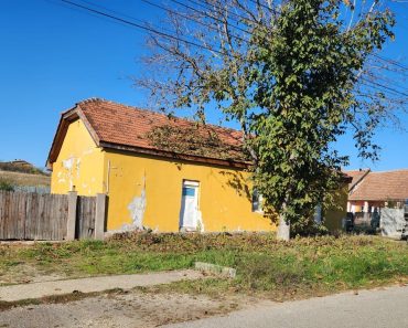 ANAF scoate la licitație o casă veche și un teren de peste 4.000 mp. Care este prețul de pornire