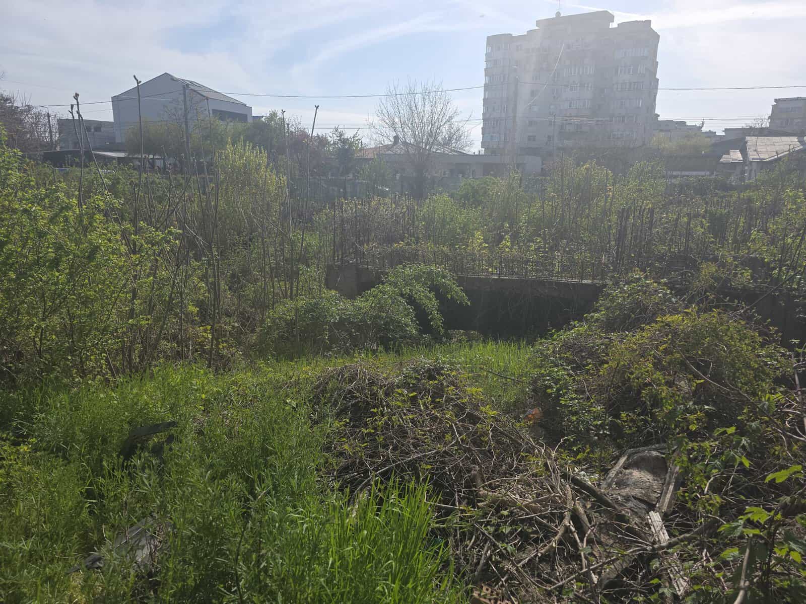 VIDEO: Lupta cu rechinii imobiliari. Un ploieștean se bate pentru oprirea construirii unui bloc lângă casă