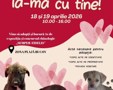 Vino să adopți! Prietenul tău te așteaptă la Bucov în acest weekend !