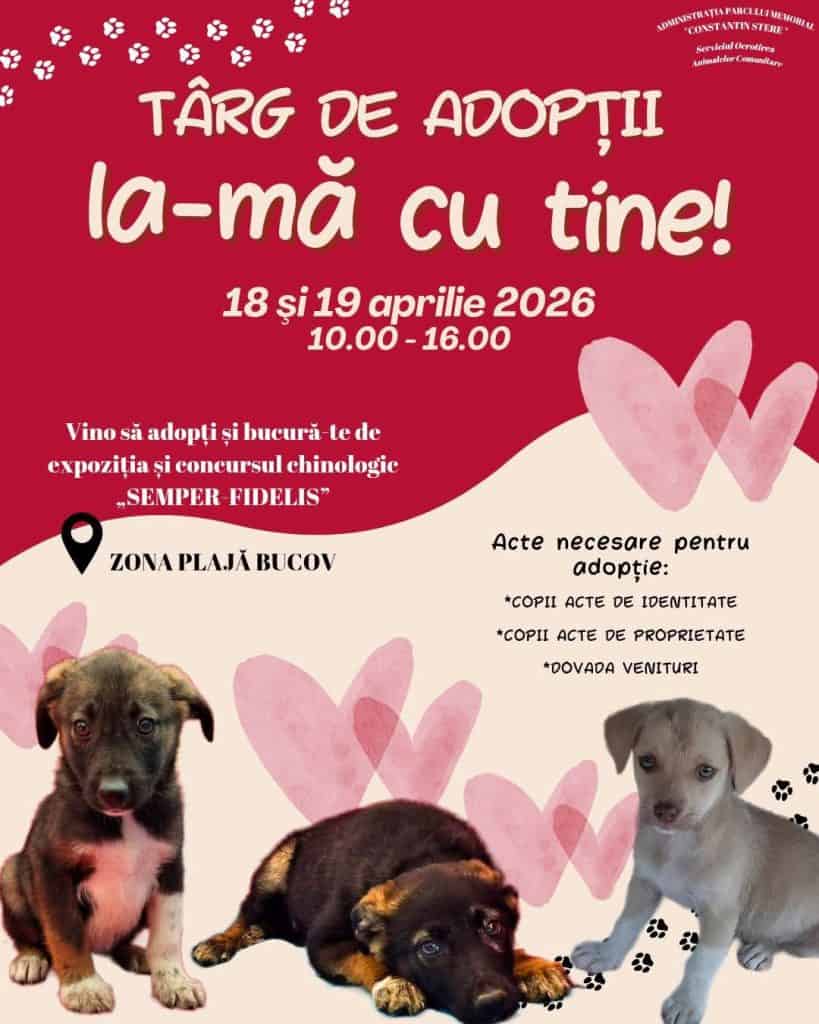 Vino să adopți! Prietenul tău te așteaptă la Bucov în acest weekend !