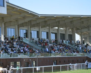 Primăvara “oferă” un premiu la Hipodromul Ploiești! Încep și cursele de galop!