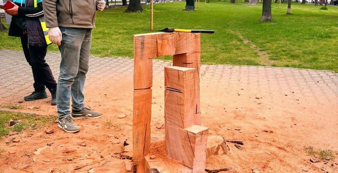 Trunchiurile castanilor tăiați de pe Bulevardul Independenței vor fi transformate în sculpturi de către elevii Colegiului de Artă