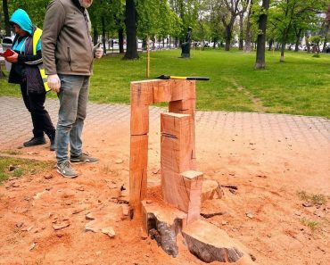 Trunchiurile castanilor tăiați de pe Bulevardul Independenței vor fi transformate în sculpturi de către elevii Colegiului de Artă