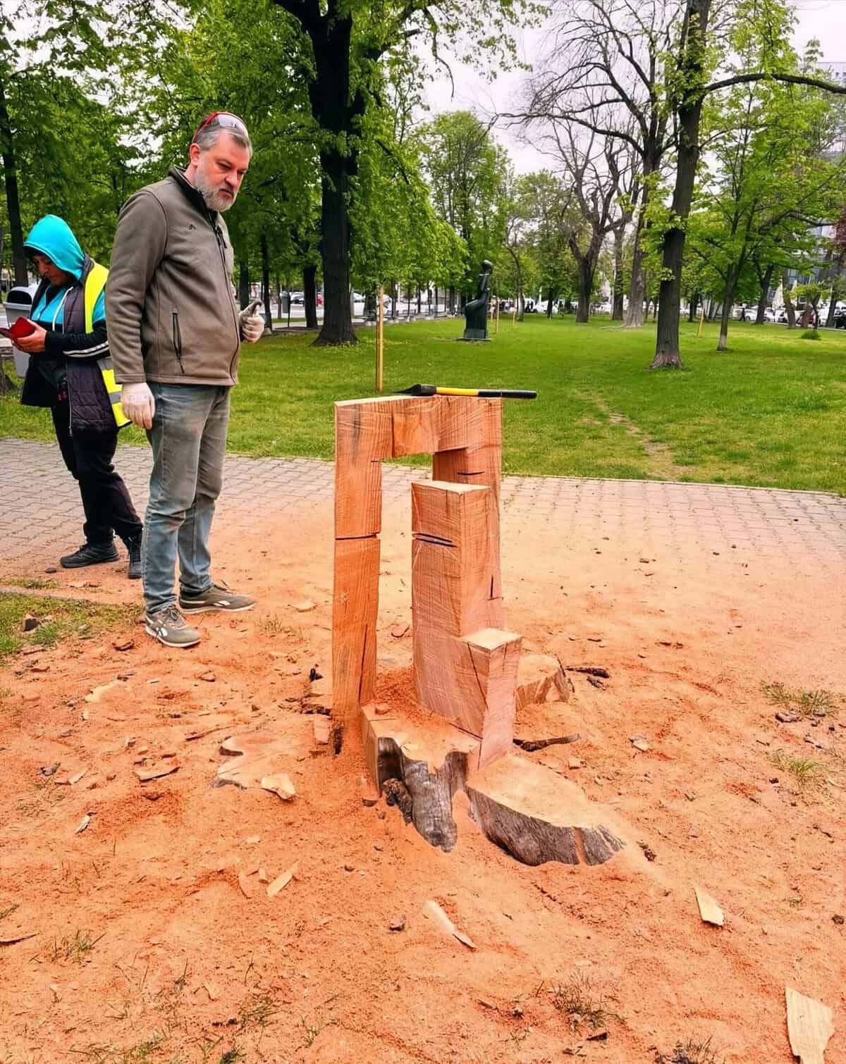 Trunchiurile castanilor tăiați de pe Bulevardul Independenței vor fi transformate în sculpturi de către elevii Colegiului de Artă