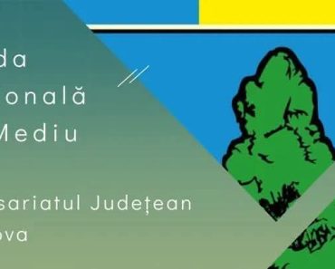 Pericol de mediu la Brazi: deșeuri periculoase amestecate ilegal cu deșeuri nepericuloase!