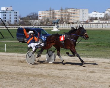 Iapa Zafira a câștigat Premiul de Deschidere