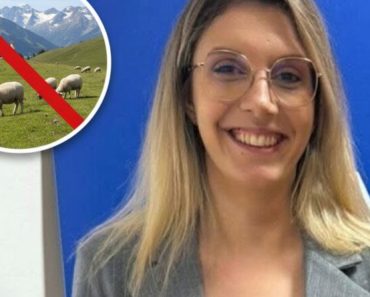 Buzoianu (Mediu): Interzis cu oaia la munte, pentru a proteja zonele naturale sălbatice