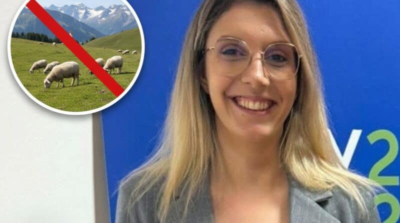 Buzoianu (Mediu): Interzis cu oaia la munte, pentru a proteja zonele naturale sălbatice