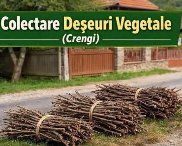 Primăria Albești Paleologu: CAMPANIE DE COLECTARE DEȘEURI VEGETALE