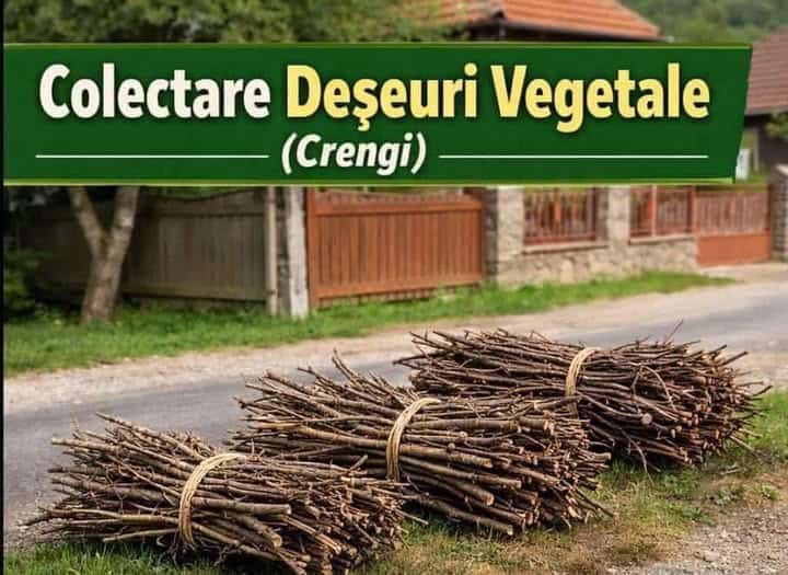 Primăria Albești Paleologu: CAMPANIE DE COLECTARE DEȘEURI VEGETALE