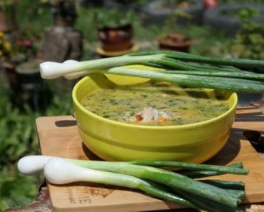 Ciorba cu carne de pui – Reteta casei