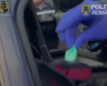 VIDEO: Doi traficanți de droguri prinși în Prahova. Unul, surprins în flagrant