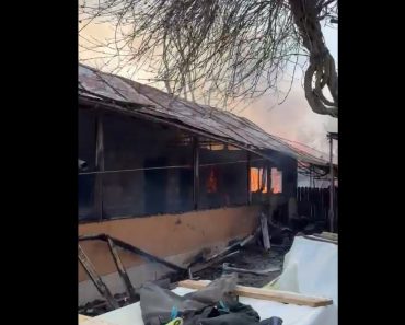 VIDEO: Incendiu puternic la o casă din Cocorății Colț. Pompierii au suplimentat forțele de intervenție