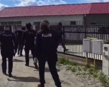 VIDEO: Percheziții la Boldești-Scăeni după o bătaie în stradă. Opt persoane săltate pentru audieri