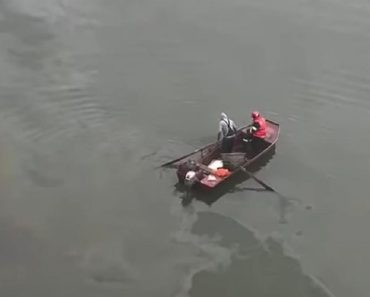 Un bărbat a căzut din barcă la Boldești-Grădiștea. Au fost chemați scafandrii