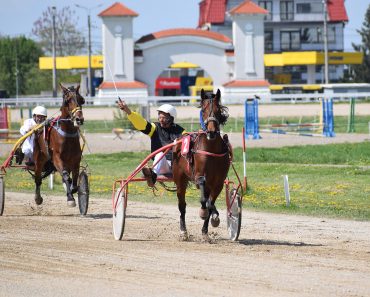 Fenomene meteo la Hipodrom! Vijelie și primăvară arctică!