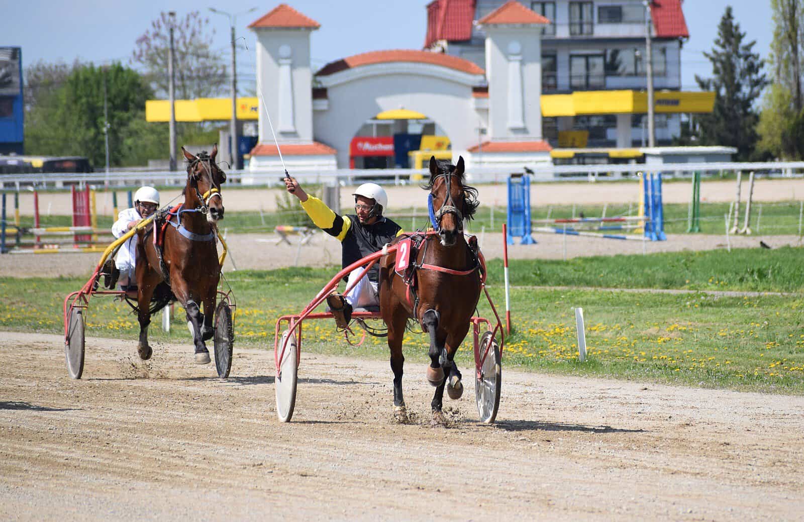 Fenomene meteo la Hipodrom! Vijelie și primăvară arctică!
