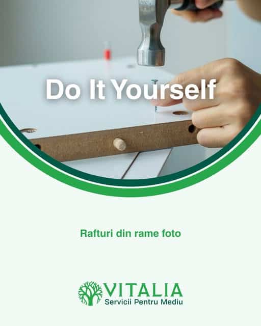 Vitalia Mediu: RAME CARE DEVIN RAFTURI!