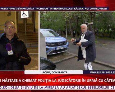 Ilie Năstase, scandal în ziua procesului pentru divorț! A sunat la poliție