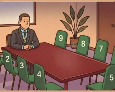 Test de personalitate: alege un scaun și descoperă-ți instinctele sociale ascunse