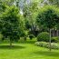 Ce pomi plantăm în fața casei pentru umbră bogată. 6 specii cu creștere rapidă