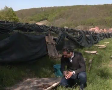 Afacerea inedită cu care a dat lovitura o familie din Bihor: „Am observat o nișă în România”