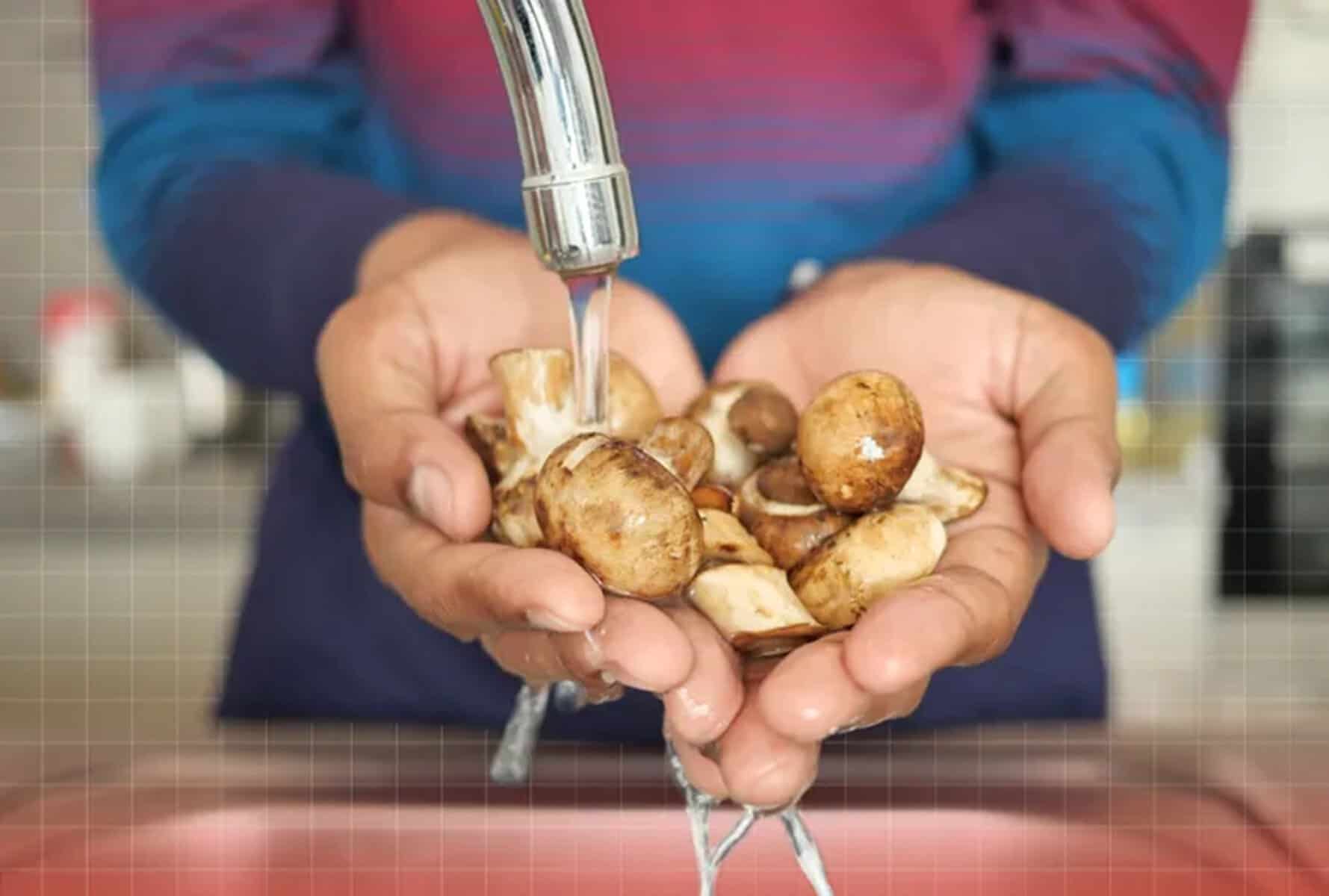 Greșeala pe care mulți o fac în bucătărie. Top 5 alimente pe care nu trebuie să le speli niciodată