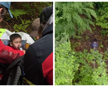 Cine l-a găsit pe micuțul de 5 ani dispărut în Sibiu: „Am și eu doi copii. Emoția a fost maximă”
