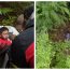 Cine l-a găsit pe micuțul de 5 ani dispărut în Sibiu: „Am și eu doi copii. Emoția a fost maximă”