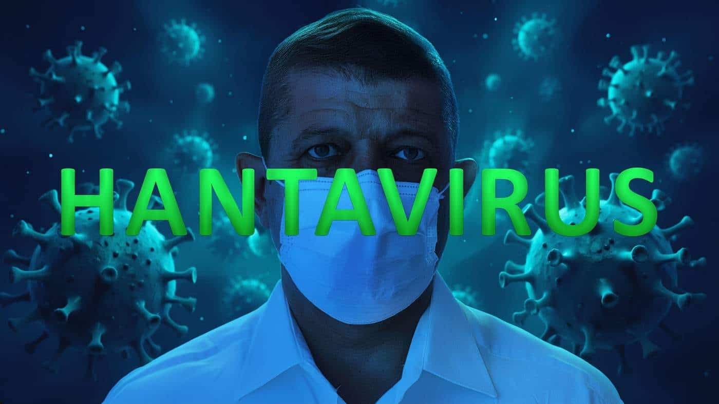 A fost confirmat primul caz de hantavirus în România! Medicii sunt în alertă