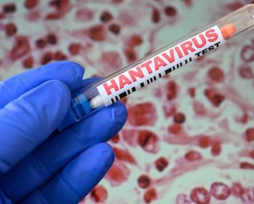 Hantavirus confirmat pentru prima dată în România de la focarul care a îngrozit lumea. Poziția INSP