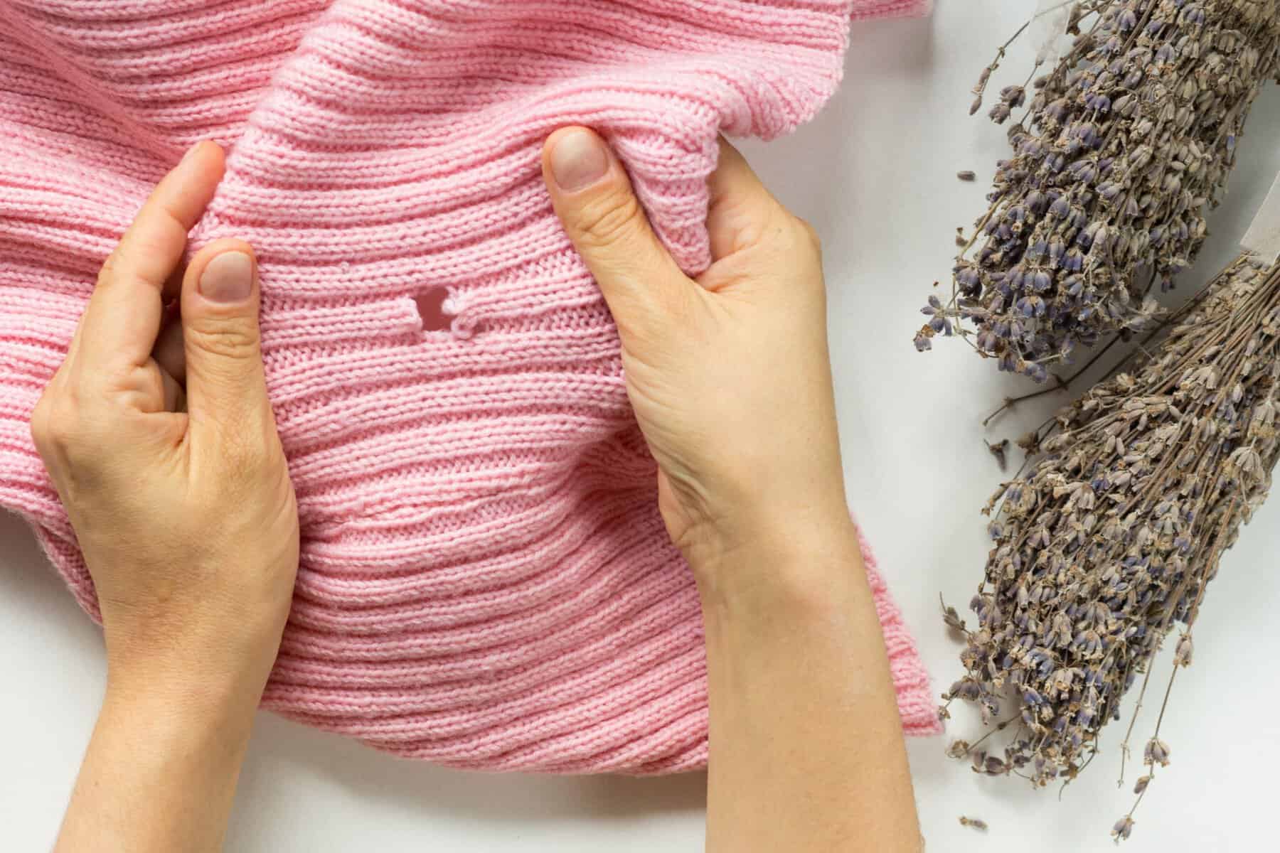 Așa scapi de molii fără efort. Metoda care îți păstrează hainele în stare perfectă