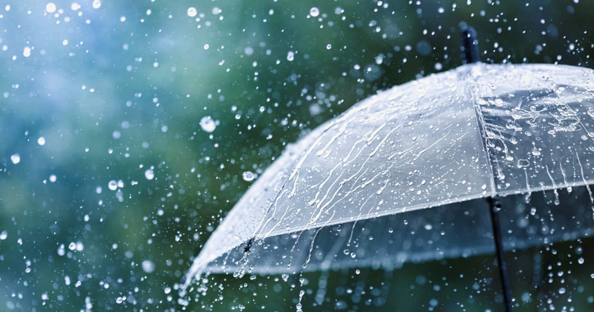 Meteorologii anunță ploi în jumătate de țară. Care sunt județele vizate de cod galben de vânt puternic și cum va fi vremea în Capitală