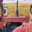 Au revenit cu tractorul pe ogor! Dan Negru conduce un „monstru agricol” de 40.000 de euro: „Dacă statul ar ține cu țăranii români…”