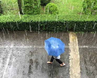 Meteorologii au emis noi avertizări de ploi și vânt puternic. HARTA zonelor afectate de cod galben și vremea în București