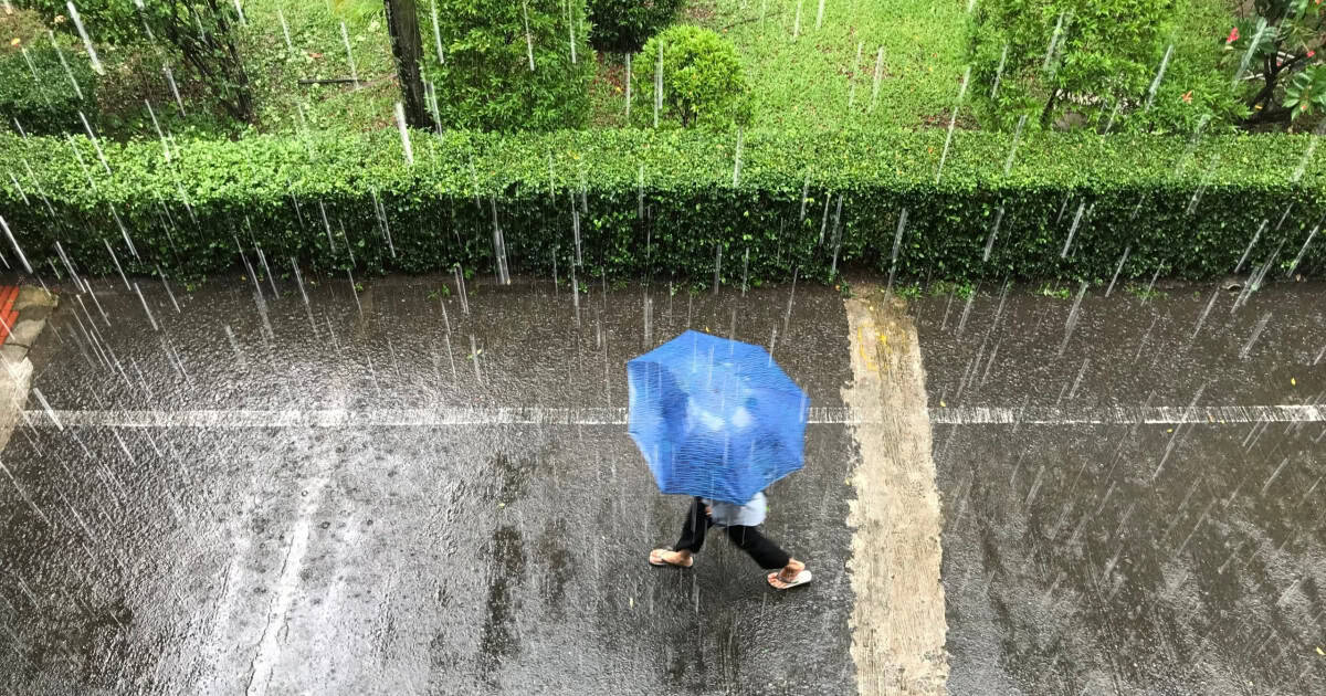 Meteorologii au emis noi avertizări de ploi și vânt puternic. HARTA zonelor afectate de cod galben și vremea în București