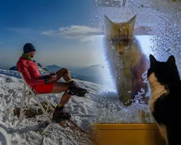 Un om, o pisică și o vulpe, la altitudine extremă. Povestea meteorologului care trăiește la Vârful Omu