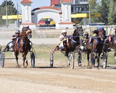 Ziua Independenței va fi sărbătorită cu 9 curse de trap și galop!